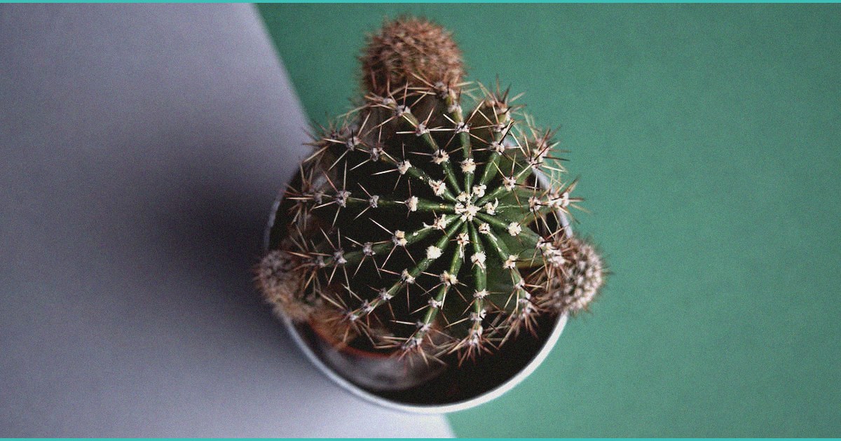 kentucky lawmakers push bill regulating thc infuse