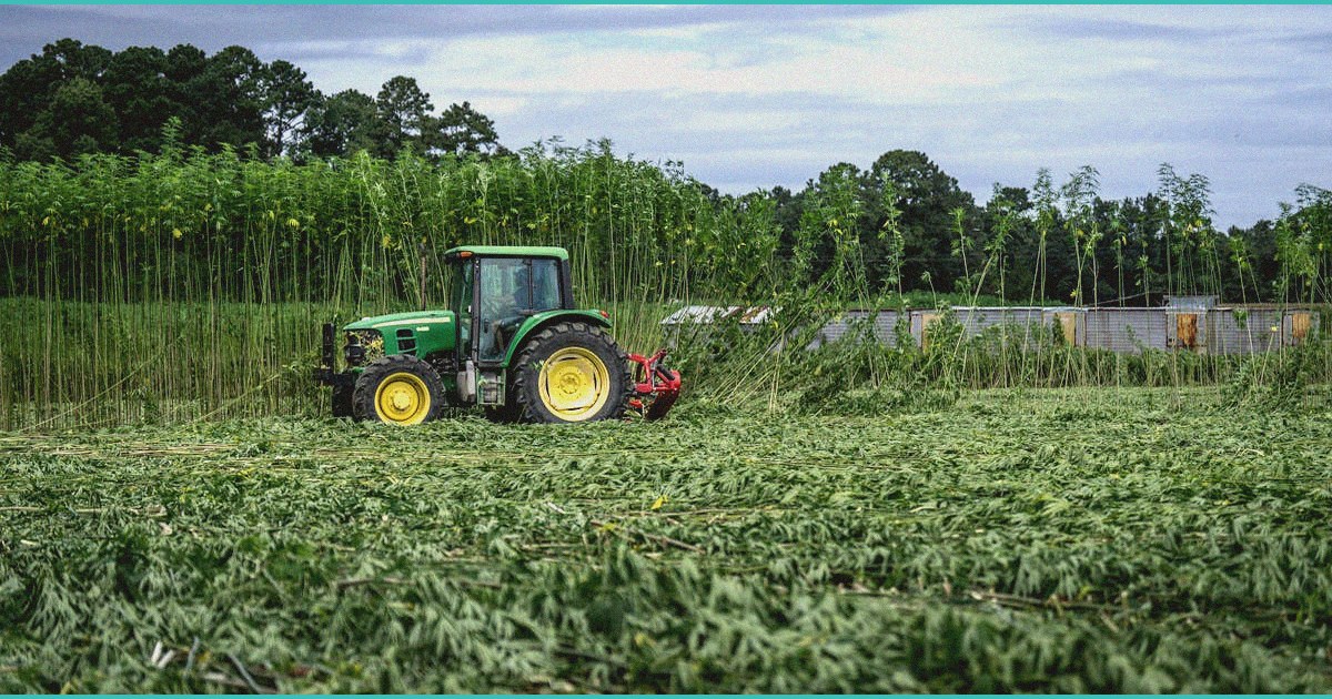 marijuana and hemp leaders have found agreement on