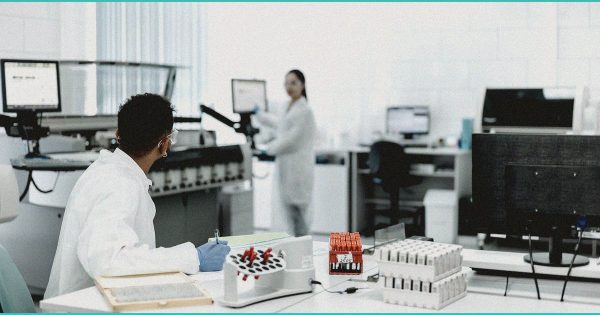 Marijuana – Point of View