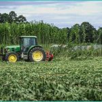 medical b cannabis b delivery app seeing growth