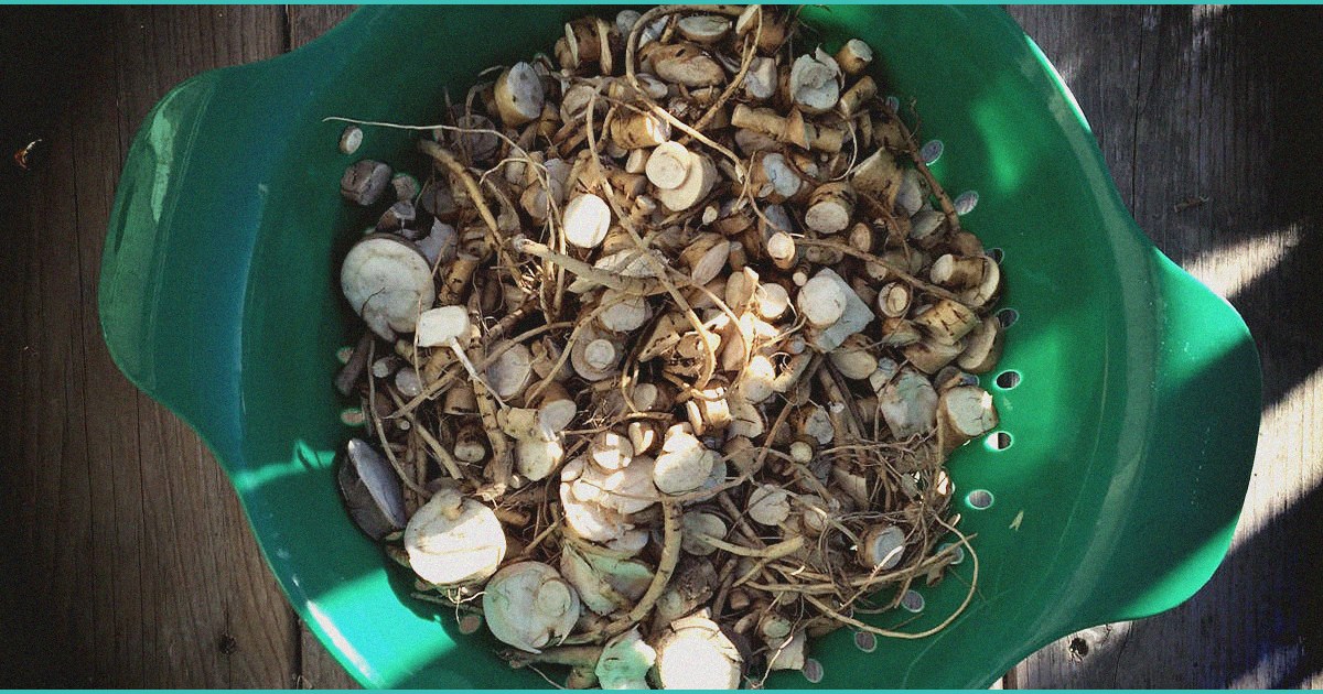 modern cannabis is hitting gen z mental health har