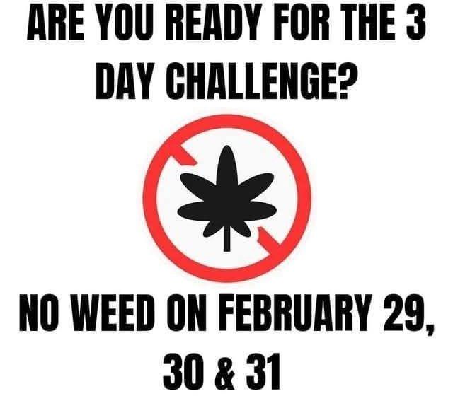 my annual t break