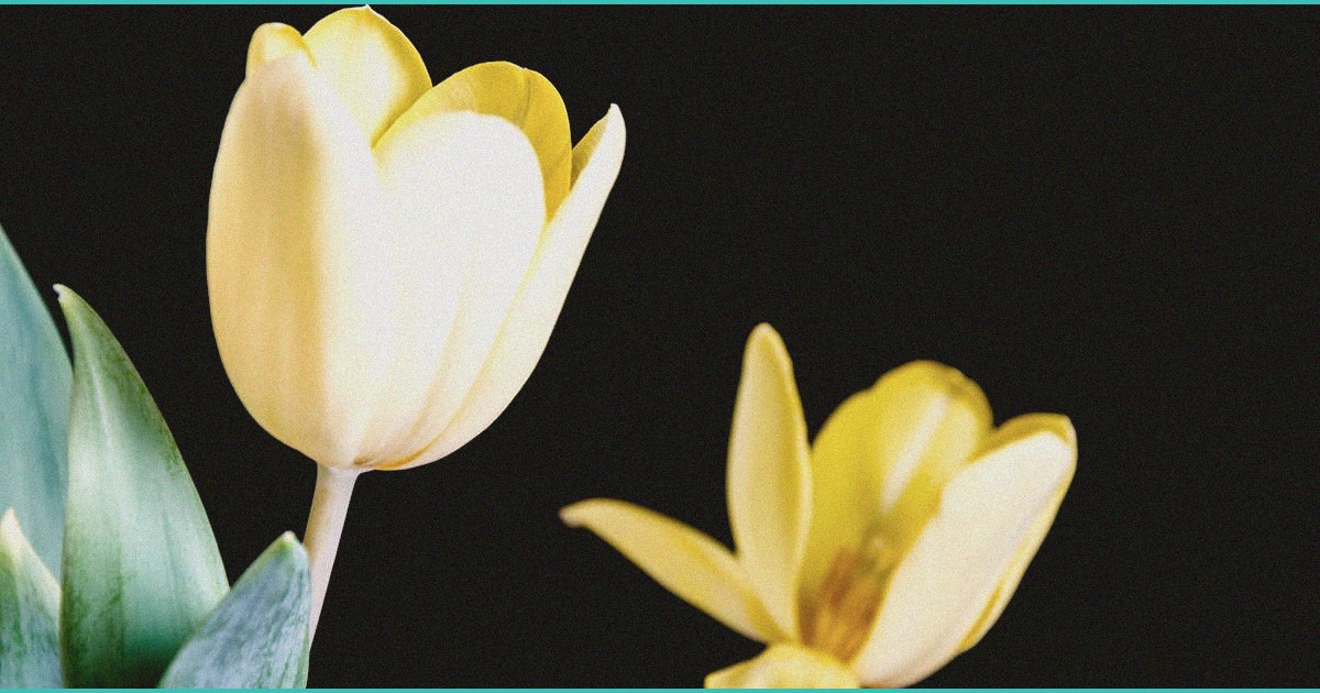 new 24 wholesale tax continues to punish michigan