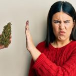 New Hampshire: Senate Republicans Kill House-Backed Adult-Use Marijuana Legalization Bill