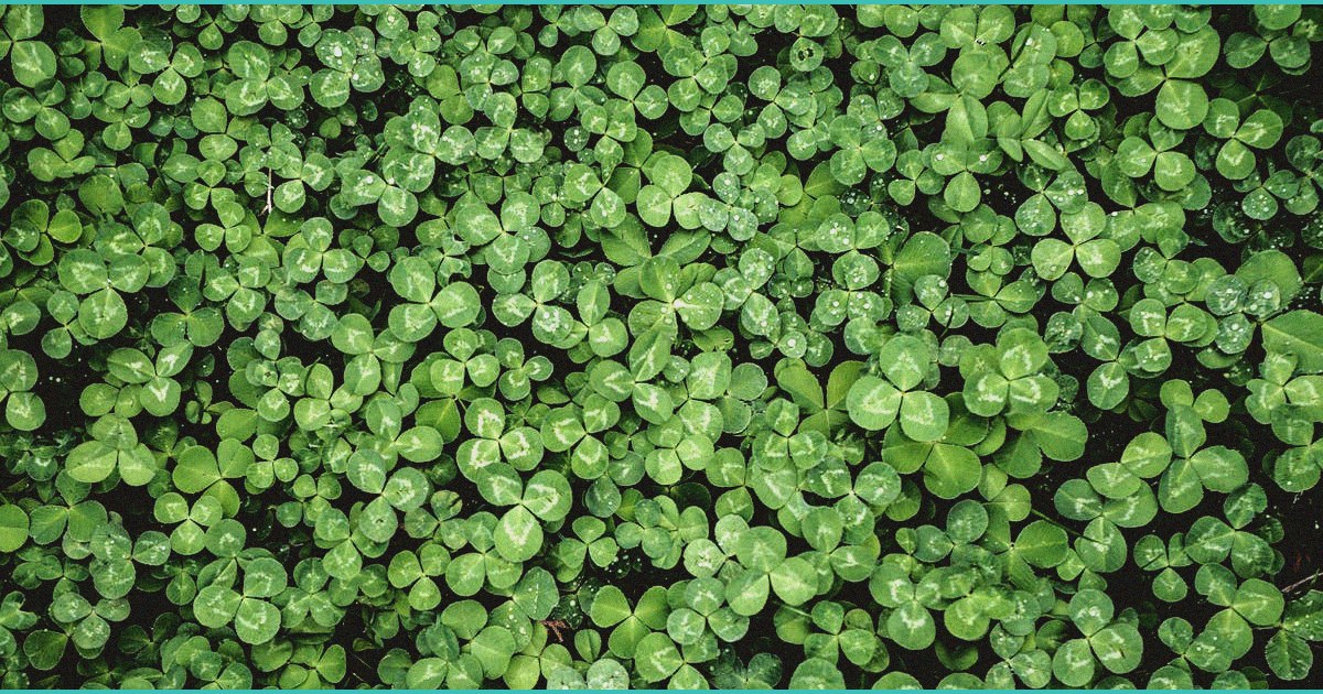 new trial suggests cbd oil could lower anxiety in