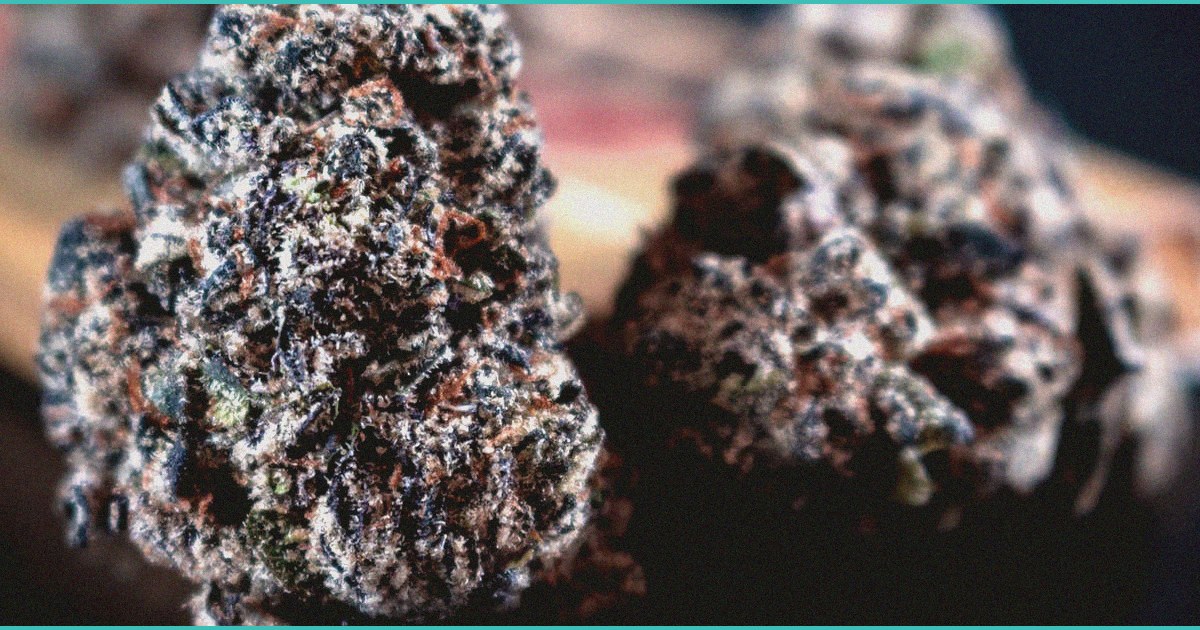 ohio department of commerce recalls certain mariju 1