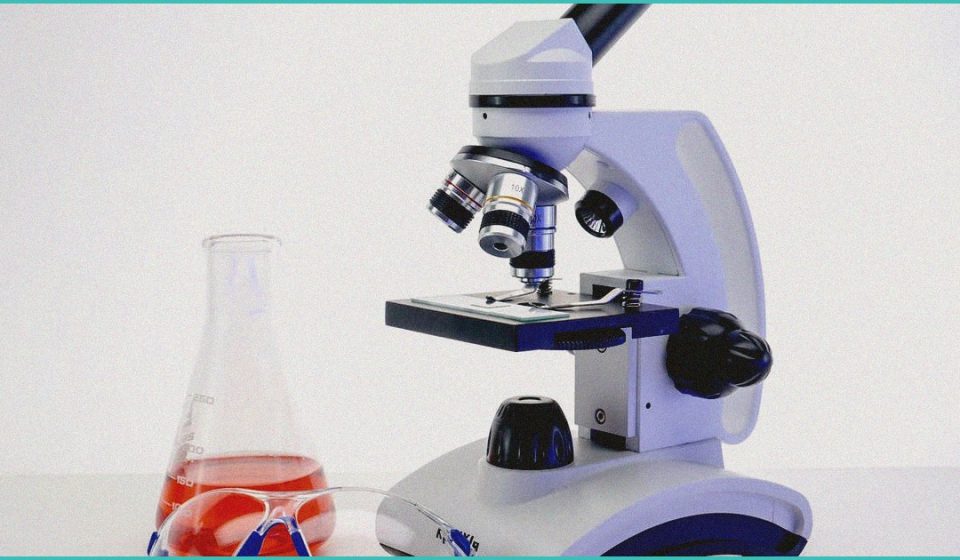 omagh biotech start up in funding boost for resear 4