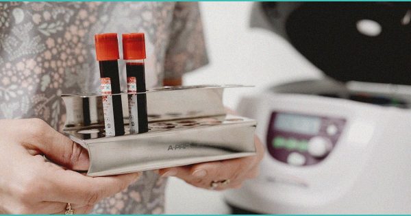 ‘Pot for Potholes Act’ aims to legalize marijuana in Tennessee and distribute taxes to repair …