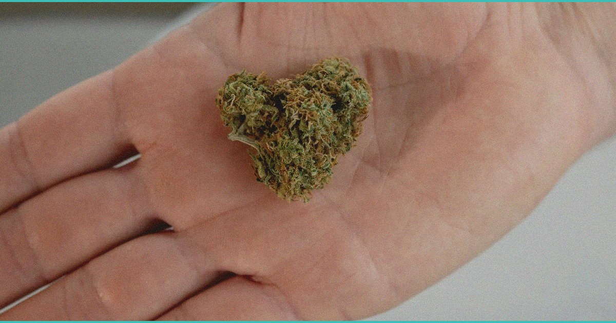 potency related effects of smoked cannabis on simu