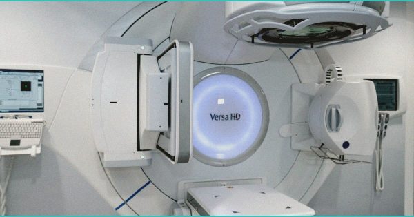 Radical Revelations: The Interplay of Nitrosative Stress, the Endocannabinoid System, and … – MDPI