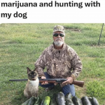 Rate on a scale of -1 to 11