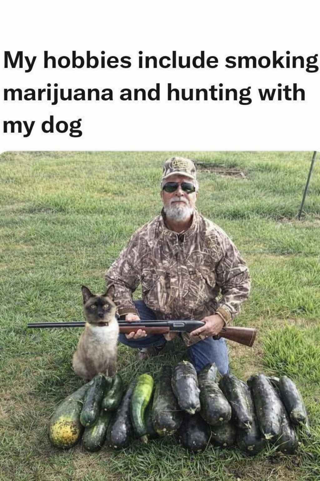 Rate on a scale of -1 to 11