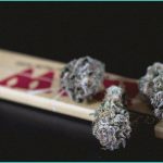 recreational marijuana cons britannica