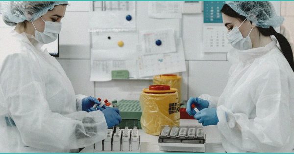 CED Clinic: Personalized Cannabis Medicine 252 Smoking Cannabis May Reduce Alcohol Cravings, New Study Finds – Food & Wine