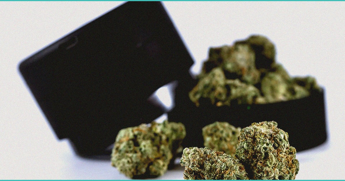 study cbd dominant cannabis products provide sign 2