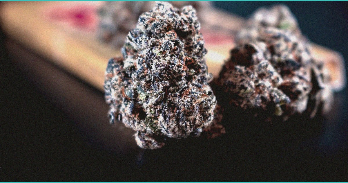 study cbd dominant cannabis products provide sign