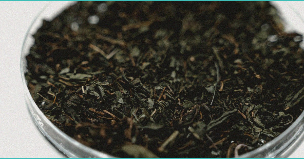 study finds cbd drinks can substitute for alcohol