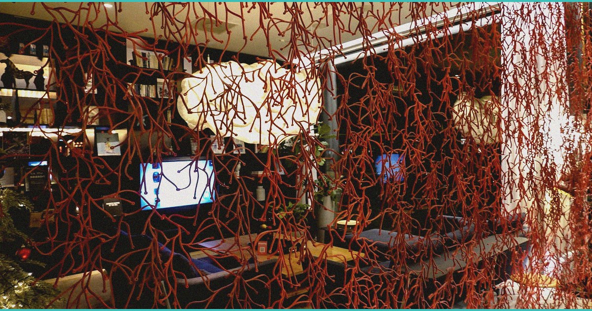 study finds no link between lifetime cannabis use 2