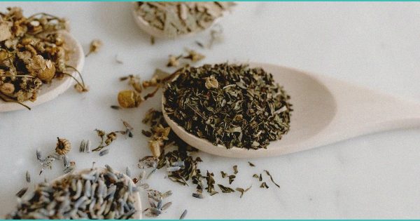 Study Finds THC Can Create False Memories – Carrier Management