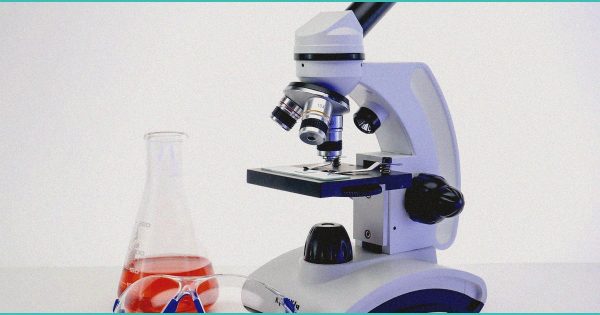 Study reveals cannabis compounds reduce threat of fatty liver disease | Health – News-Topic