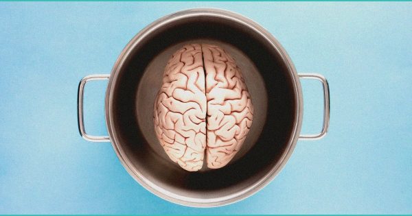 Study Shows Lifetime Cannabis Use Not Associated with Cognitive Decline or Dementia …