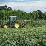 texas enforces new thc limits on hemp products k