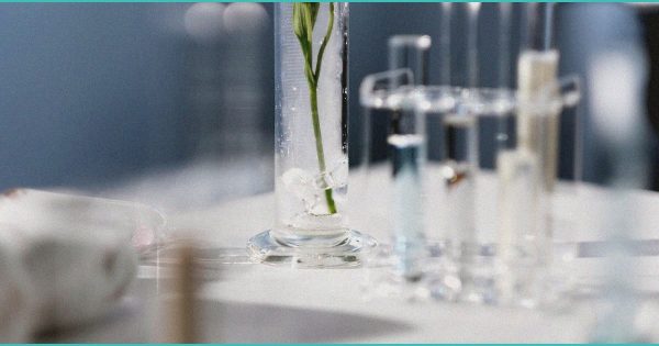 CED Clinic: Personalized Cannabis Medicine 233 Texas rule change could wipe out 70% of one local hemp store’s sales | kcentv.com