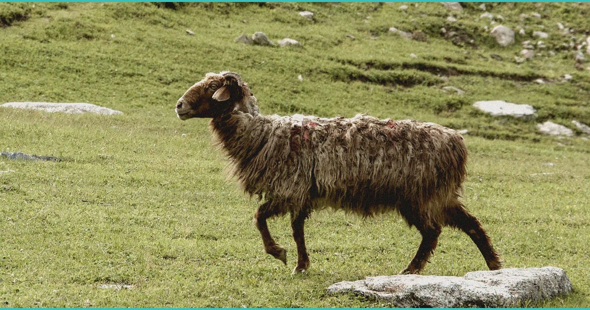 the effect of cooling temperature on growth rates