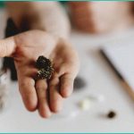 the long game inside rare cannabinoid company s b