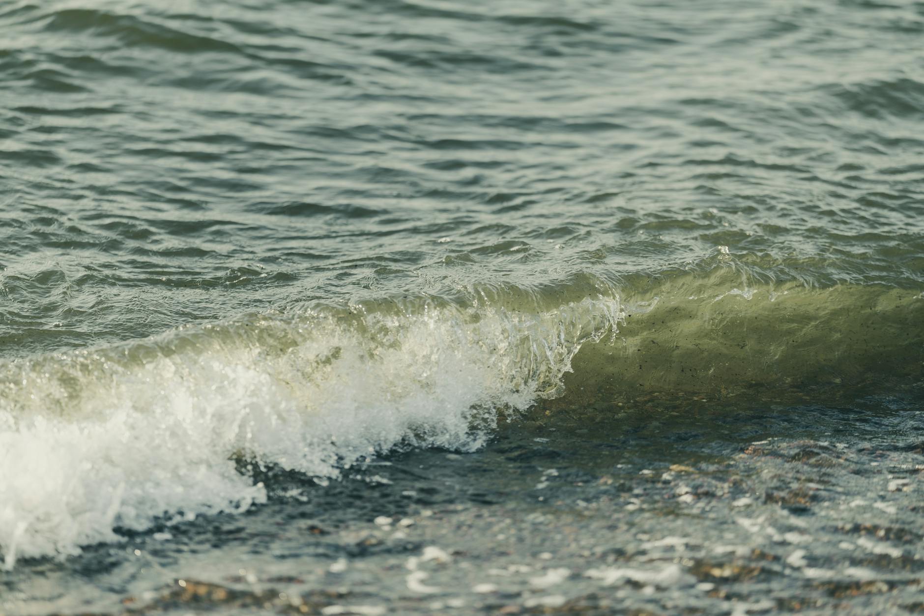 Editorial image for Minnesota cannabis officials recall Tidal Wave THC vapes for high THC content - KSTP