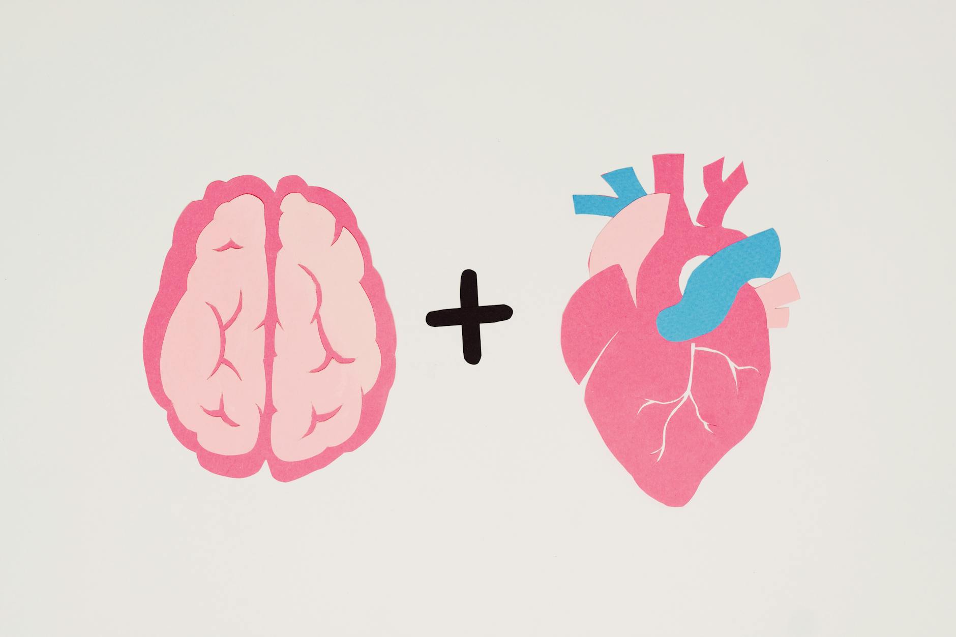 Editorial image for Brain and heart health are tied together. Here are 5 ways to control both | CBC News