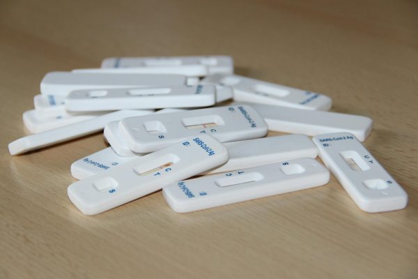 CED Clinic: Personalized Cannabis Medicine 193 A New Display in Antigen Presentation is Revealed | Trending – Labroots