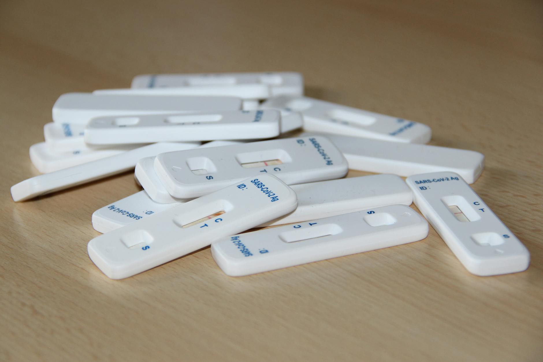 Editorial image for A New Display in Antigen Presentation is Revealed | Trending - Labroots