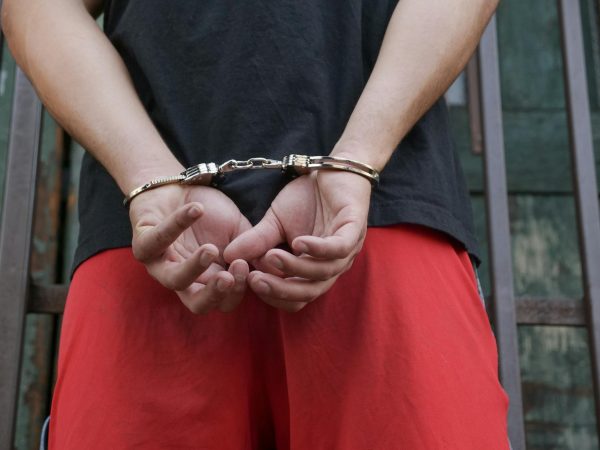 Police seize more than $1.2M in cannabis products during tractor-trailer inspection in … – WNEP