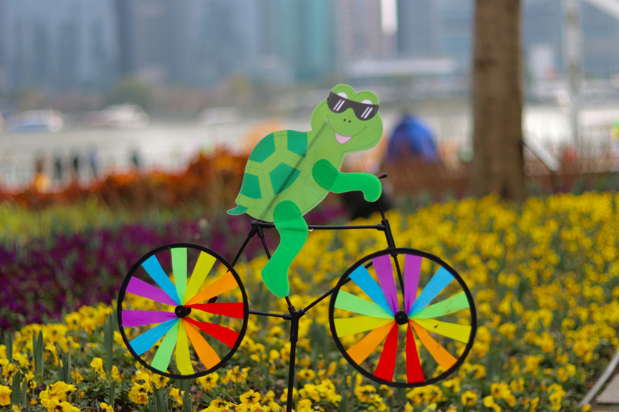 Editorial image for Ditch the Beer: Cycling Frog's THC Drinks and Gummies Hit Different - VICE