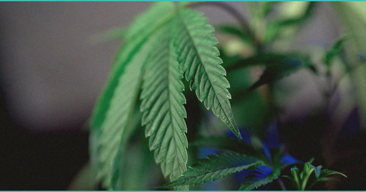 tn concerned for public health and safety after