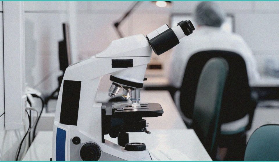 topical cannabis balms for aimss clinical trial d 1