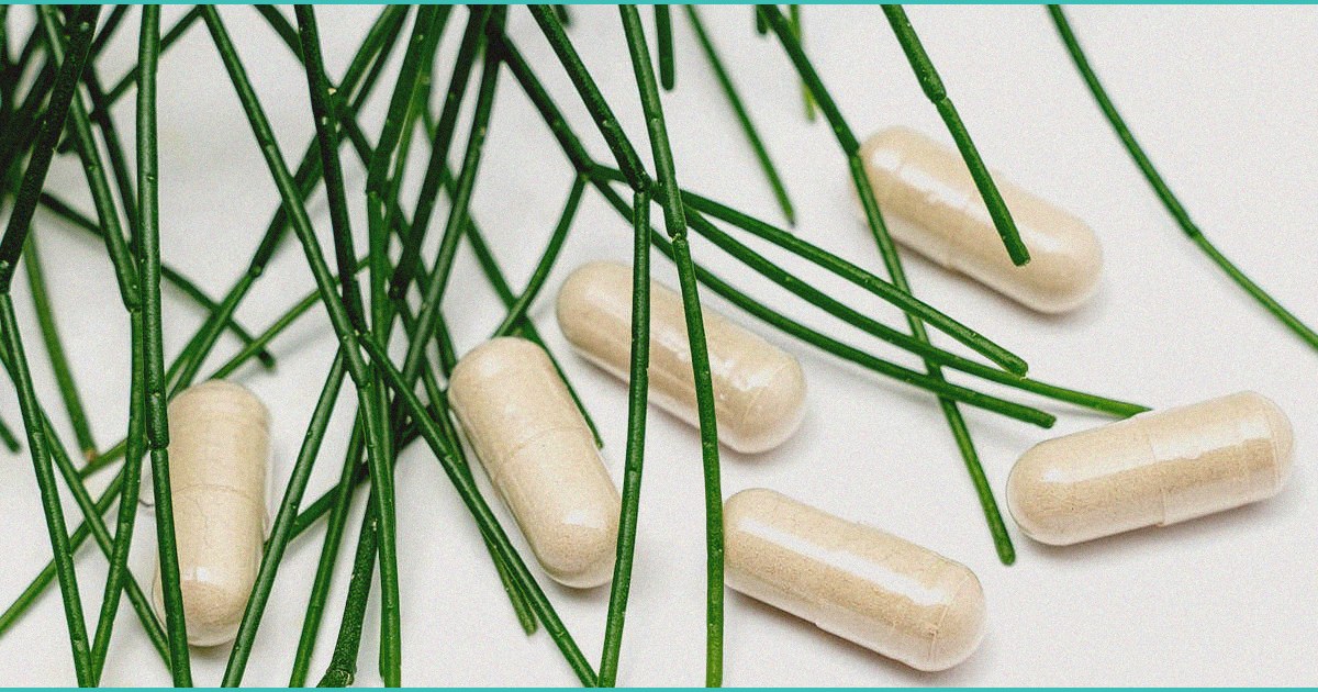 truage ceo stephanie sikorski joins the csp c stor