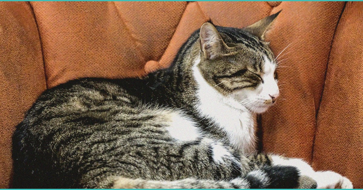 two south jersey parents filed a lawsuit after the