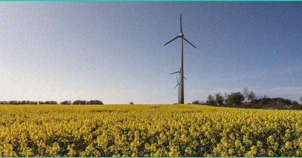 US (PA): State to get tougher on cannabis, hemp regulations – MMJDaily