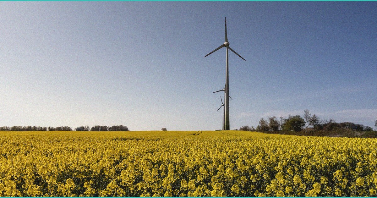 us pa state to get tougher on cannabis hemp re