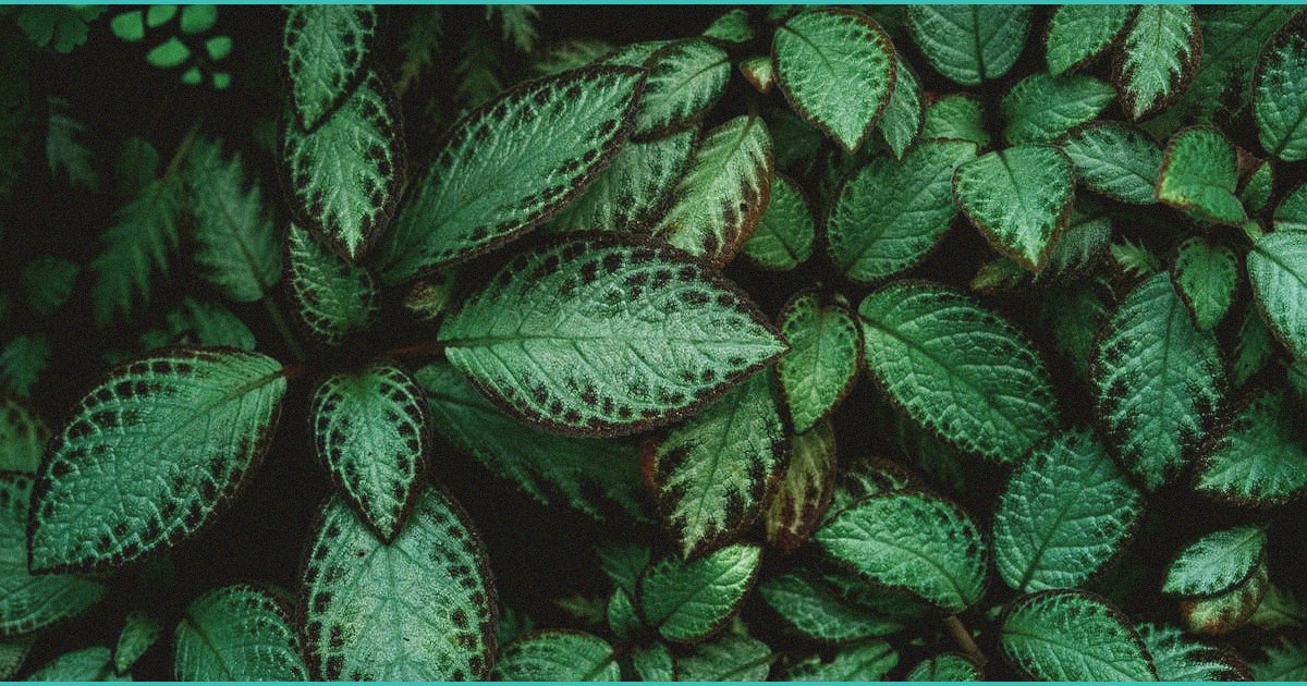 using marijuana to ease anxiety or depression sci 2