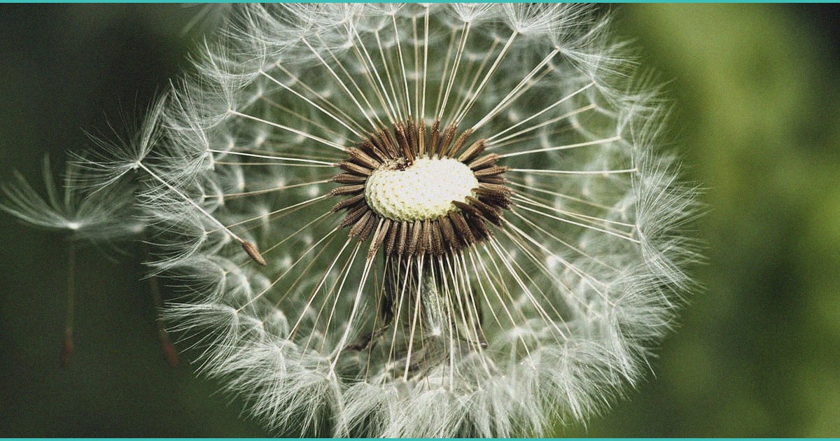 what effects does thc have on youth who dabble