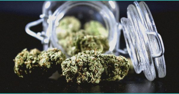 CED Clinic: Personalized Cannabis Medicine 169 When someone asks for the right dose and the answer is it depends #6