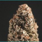 why more michiganders are ditching melatonin for t