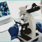 yale and mcgill collaborate to expand cannabis res