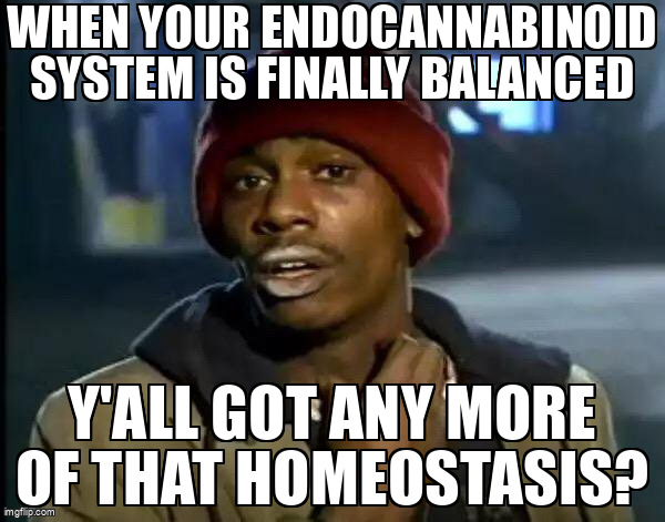 Y'all Got Any More Of That