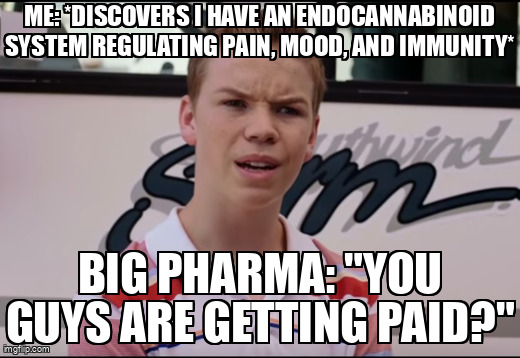 You Guys are Getting Paid