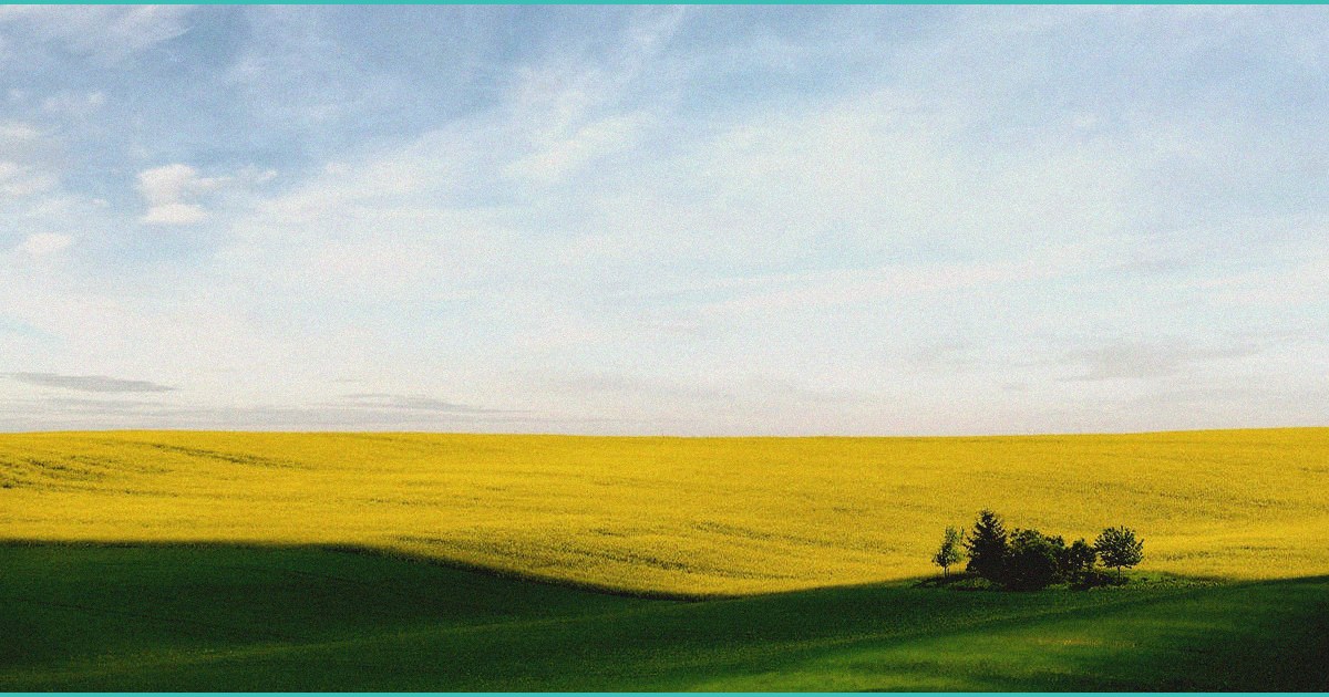 6 black owned dispensaries leading social equity i