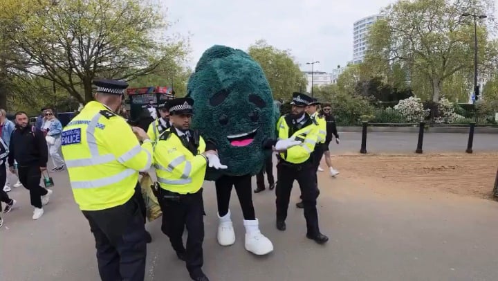 A man dressed in a marijuana costume is arrested by police
